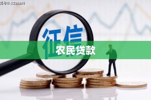 洱源农民贷款