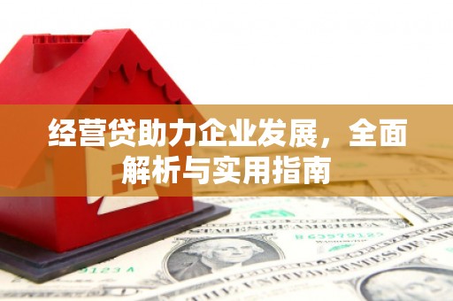 洱源经营贷助力企业发展，全面解析与实用指南