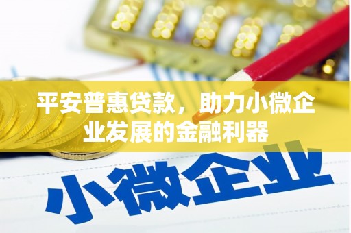洱源平安普惠贷款，助力小微企业发展的金融利器