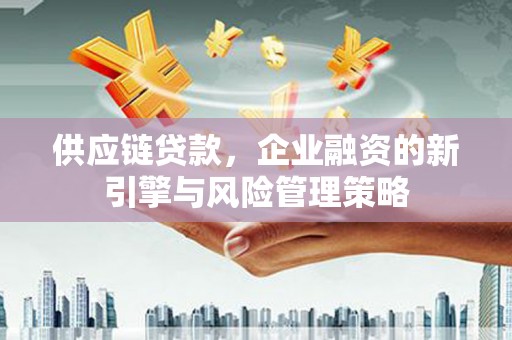 洱源供应链贷款，企业融资的新引擎与风险管理策略