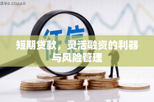 洱源短期贷款，灵活融资的利器与风险管理