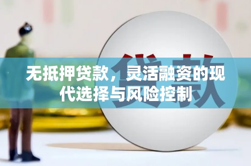 洱源无抵押贷款，灵活融资的现代选择与风险控制