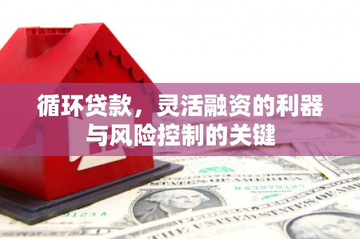 洱源循环贷款，灵活融资的利器与风险控制的关键