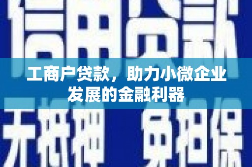 洱源工商户贷款，助力小微企业发展的金融利器