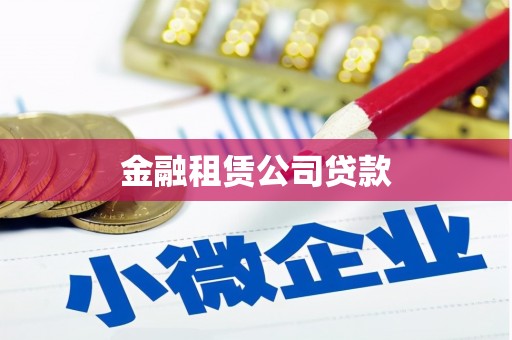 洱源金融租赁公司贷款
