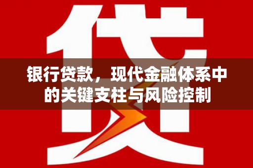 洱源银行贷款，现代金融体系中的关键支柱与风险控制