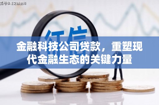 洱源金融科技公司贷款，重塑现代金融生态的关键力量