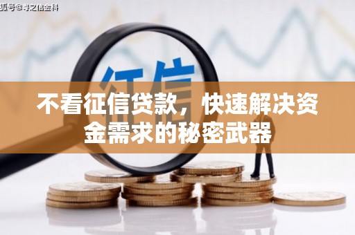 洱源不看征信贷款，快速解决资金需求的秘密武器