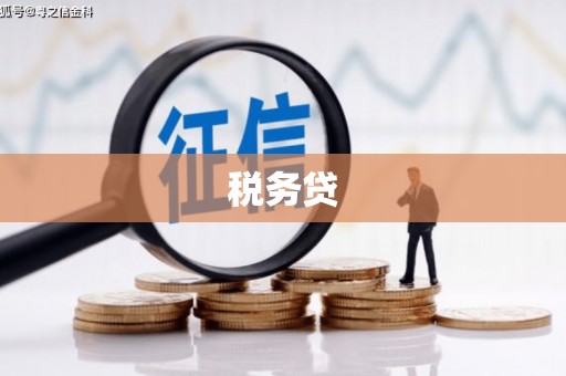 洱源税务贷