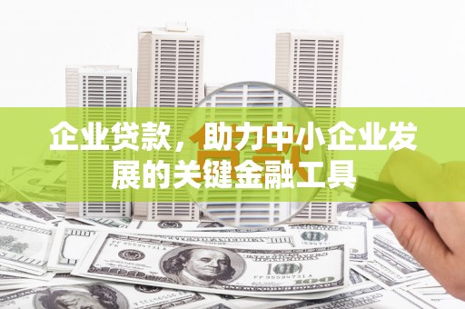 洱源企业贷款，助力中小企业发展的关键金融工具