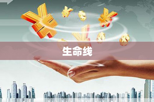 洱源生命线