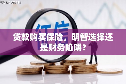 洱源贷款购买保险，明智选择还是财务陷阱？