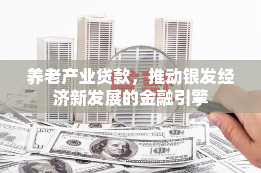 洱源养老产业贷款，推动银发经济新发展的金融引擎