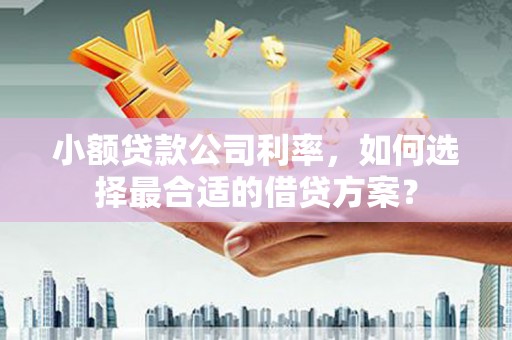 洱源小额贷款公司利率，如何选择最合适的借贷方案？