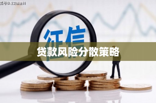 洱源贷款风险分散策略