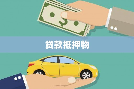 洱源贷款抵押物