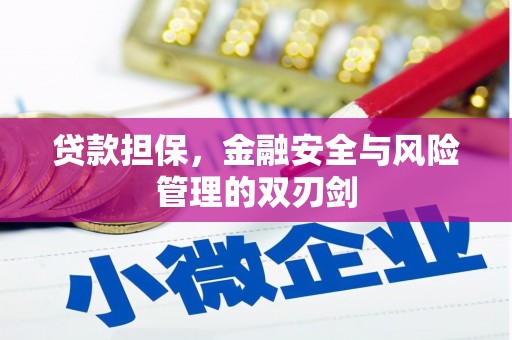 洱源贷款担保，金融安全与风险管理的双刃剑