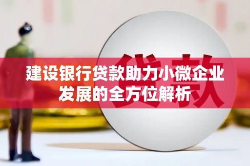 洱源建设银行贷款助力小微企业发展的全方位解析