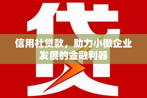 洱源信用社贷款，助力小微企业发展的金融利器