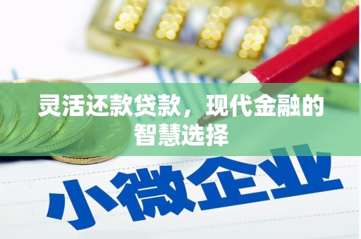 洱源灵活还款贷款，现代金融的智慧选择
