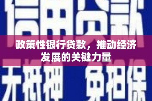 洱源政策性银行贷款，推动经济发展的关键力量