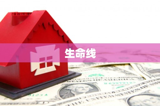 洱源生命线