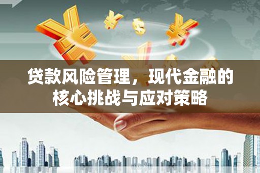 洱源贷款风险管理，现代金融的核心挑战与应对策略