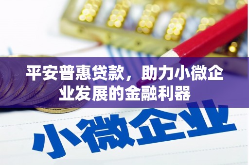 洱源平安普惠贷款，助力小微企业发展的金融利器