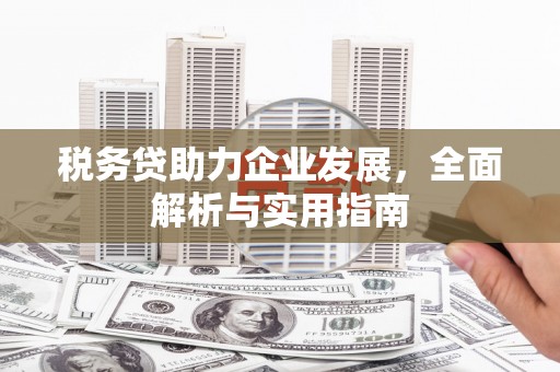 洱源税务贷助力企业发展，全面解析与实用指南