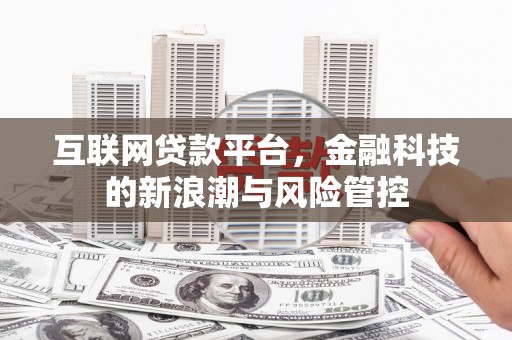 洱源互联网贷款平台，金融科技的新浪潮与风险管控