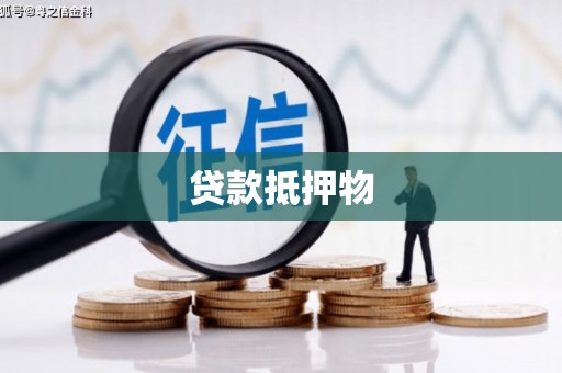 洱源贷款抵押物