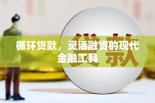 洱源循环贷款，灵活融资的现代金融工具