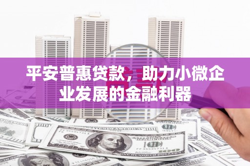 洱源平安普惠贷款，助力小微企业发展的金融利器