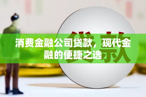 洱源消费金融公司贷款，现代金融的便捷之选