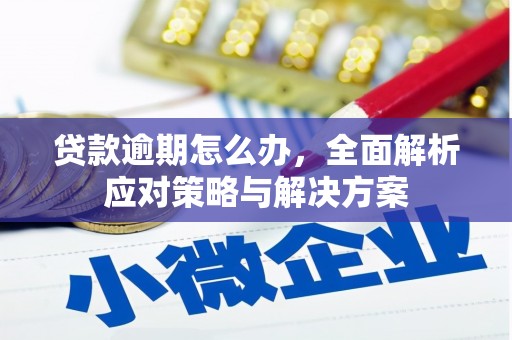 洱源贷款逾期怎么办，全面解析应对策略与解决方案